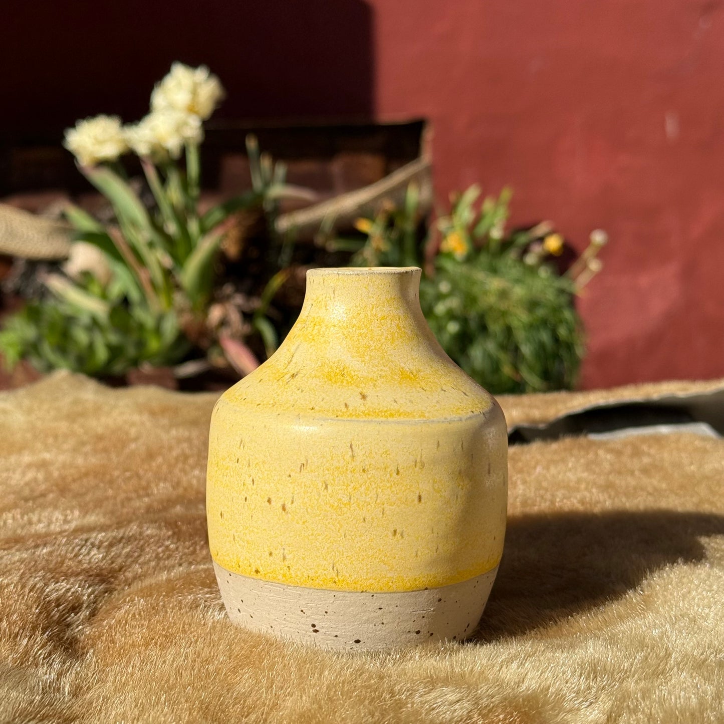 Vase (S) #16